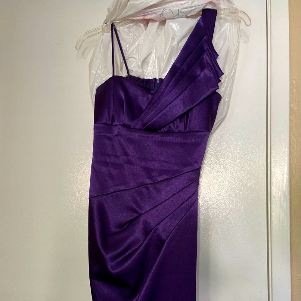 Purple Knee Dress